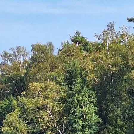 Casa vacanze Kaszuby To Tu Parchowo