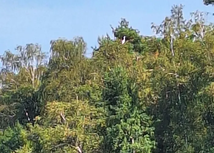 Dom wakacyjny Kaszuby To Tu Parchowo